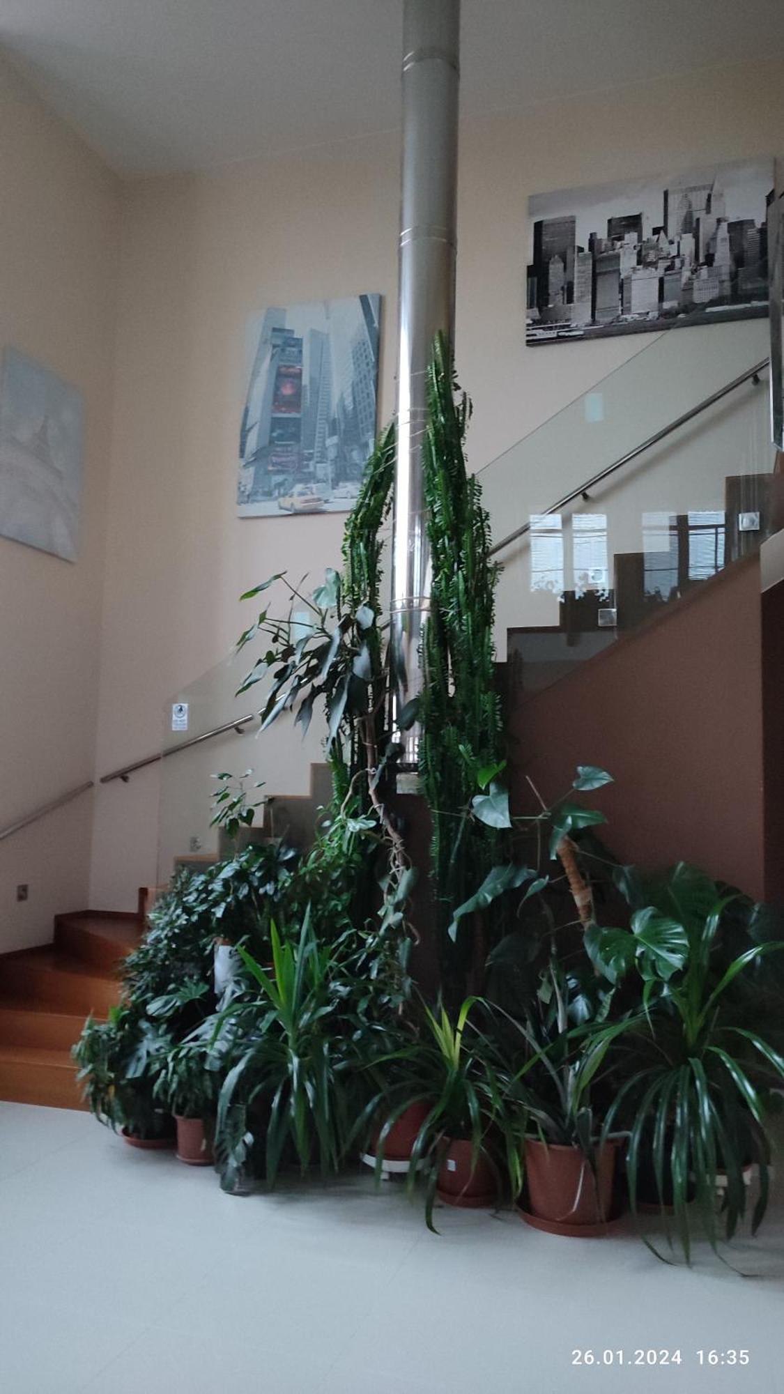 Villa Homestay Nad Helmrovkou Praga Exterior foto