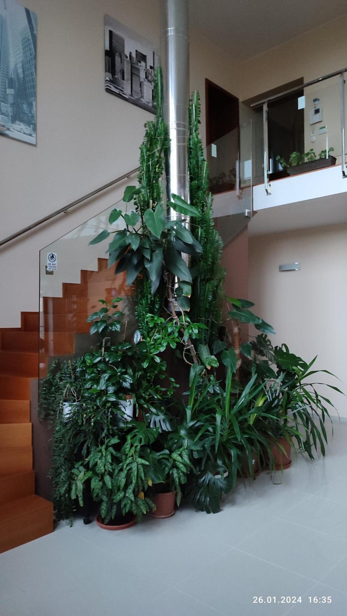 Villa Homestay Nad Helmrovkou Praga Exterior foto